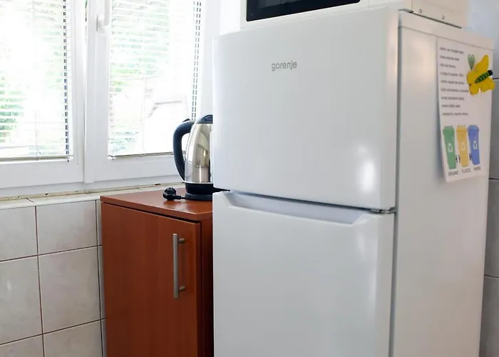 Mir 아파트 풀라