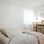 Mir Pula